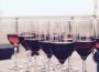 Il vino per il migliore catering a Bologna