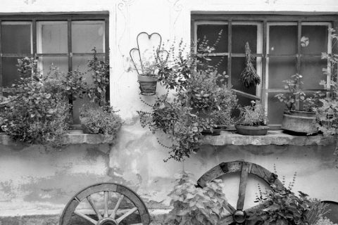 L'arredamento per esterni per il tuo matrimonio da sogno